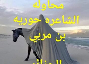 حورية بن مربي تكتب محاولة