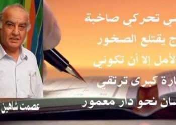 الأديب عصمت شاهين دوسكي يكتب حضارة القشور