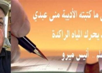 انيس ميرو يكتب تعقيبا على ماكتبته الأديبة منى عبدي  النقديحرك المياه الراكدة