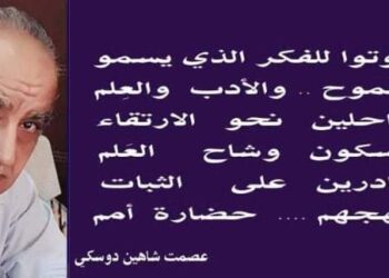 عصمت شاهين دوسكي يكتب صوتوا صوتوا