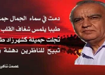 عصمت شاهين دوسكي يكتب جمال القلب