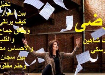 الأديب عصمت شاهين دوسكي يكتب فوضى  فوضى