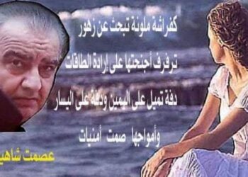 الأديب عصمت شاهين دوسكي يكتب نقاء الروح