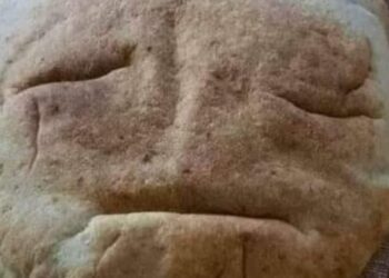 ياسر سليم عبيد يكتب يارغيفنا