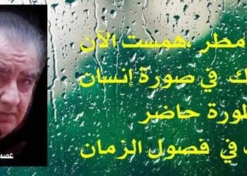 الأديب عصمت شاهين دوسكي يكتب:همسة مطر