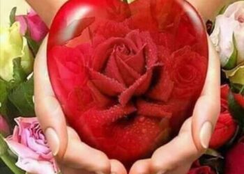 نادية الحوشي تكتب السكينة