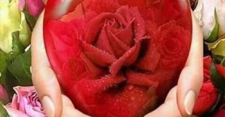 نادية الحوشي تكتب السكينة