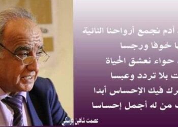 الإحساس الجميل بقلم الأديب عصمت شاهين دوسكي العراق