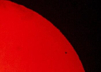 في مثل هذا اليوم 11نوفمبر2019م.. بقلم سامح جميل..