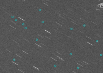 في مثل هذا اليوم15 نوفمبر2021م..بقلم سامح جميل..