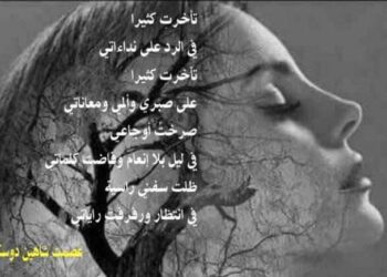 تأخرت كثيرا بقلم الأديب عصمت شاهين دوسكي العراق