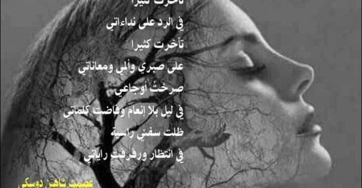 تأخرت كثيرا بقلم الأديب عصمت شاهين دوسكي العراق