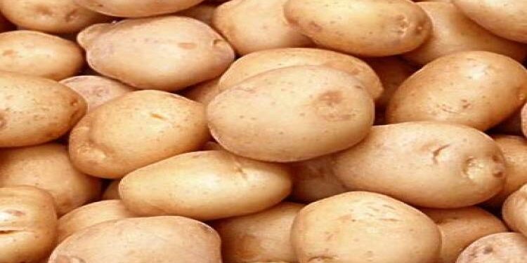 فى مثل هذا اليوم 3ديسمبر1586م..بقلم سامح جميل..