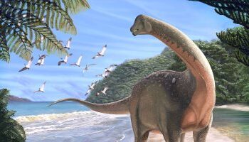 في مثل هذا اليوم29 يناير 2018م..بقلم سامح جميل..