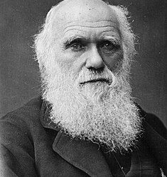 فى مثل هذا اليوم 12 فبراير1809م..بقلم سامح جميل..