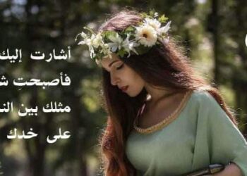 برين بقلم الأديب عصمت شاهين دوسكي العراق