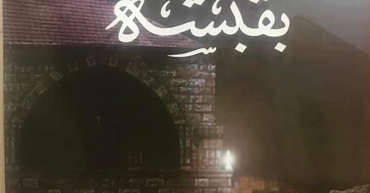 ثدور رواية بقبشة للروائي الإعلاني صقرالبعيني عن داد النخبة في بيروت