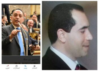 الفلاحون جيش مصرالاخضر اعتراف تحت قبة البرلمان بفشل الحكومة بقلم الكاتب محمد سعد عبد اللطيف مصر