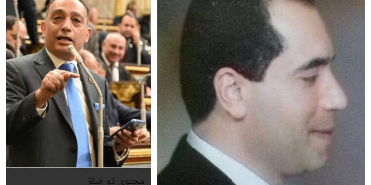 الفلاحون جيش مصرالاخضر اعتراف تحت قبة البرلمان بفشل الحكومة بقلم الكاتب محمد سعد عبد اللطيف مصر