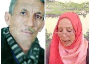 الشعر في الطقوس الإبداعية لدى الشاعرة التونسية فائزة بنمسعود بقلم الشاعرمحمد المحسن