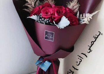 قميصك نشيد وطني بقلم د محمد عطية مصر