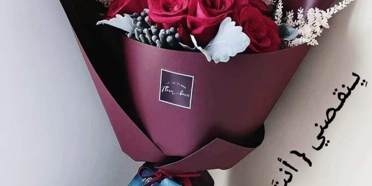 قميصك نشيد وطني بقلم د محمد عطية مصر