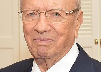 في مثل هذا اليوم 27 فبراير2011م..بقلم سامح جميل..