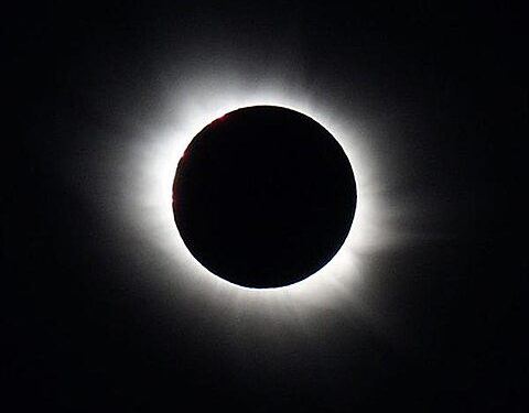 فى مثل هذا اليوم20مارس2015م..بقلم سامح جميل..