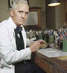 في مثل هذا اليوم11مارس1955م..بقلم سامح جميل…