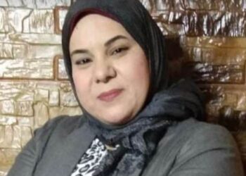 على طائرة الأحلام بقلم الكاتبة فريدة الحسيني مصر