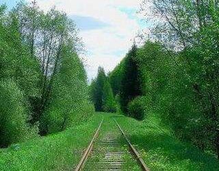 تبصر قصة قصيرة بقلم الكاتبة اميرة صارم سورية