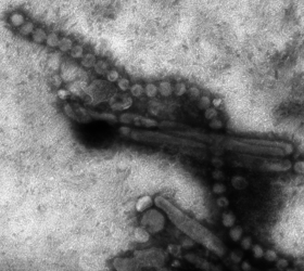 في مثل هذا اليوم 13 ابريل2013م..بقلم سامح جميل..