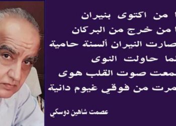 اقبل الصدى بقلم الأديب عصمت شاهين دوسكي العراق