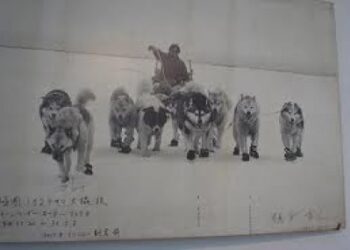 في مثل هذا اليوم 30 ابريل 1978م..بقلم سامح جميل..