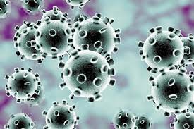 في مثل هذا اليوم23 ابريل 2003م..بقلم سامح جميل..