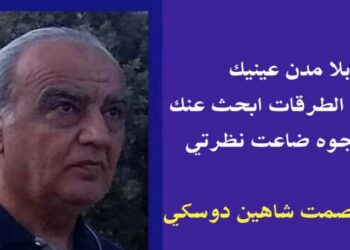 حالة عشق بقلم الأديب عصمت شاهين دوسكي العراق