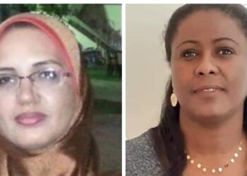 ميلانين رصاصة تخترق الواقع بقلم إيمان علي عبد الهادي