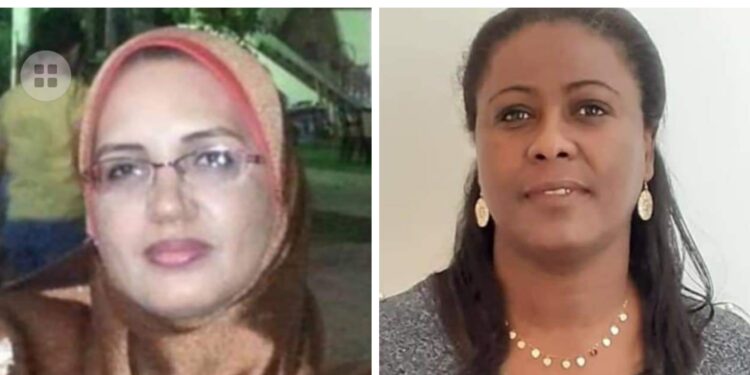 ميلانين رصاصة تخترق الواقع بقلم إيمان علي عبد الهادي