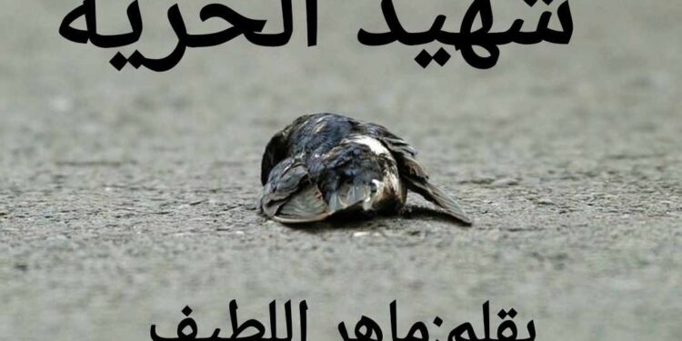شهيد الحرية بقلم الكاتب ماهر اللطيف