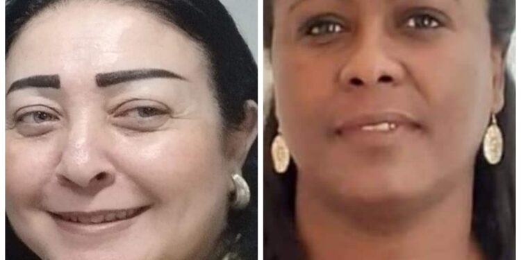 قراءة في رواية ميلانين للكاتبة التونسيةفتحية دبش بقلم الناقدة رولا سلوم