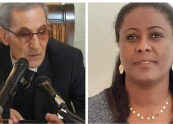 لماذا كتبت فتحية دبش روايتها ميلانين قراءة بقلم الناقد سليمان جمعة