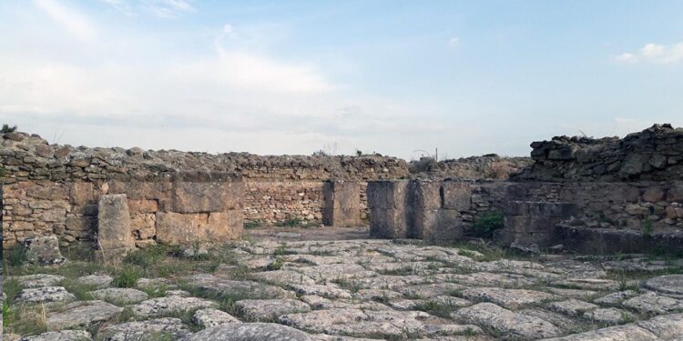 في مثل هذا اليوم 14 مايو 1929م..بقلم سامح جميل..