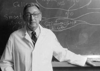 في مثل هذا اليوم19 مايو2009م..بقلم سامح جميل..