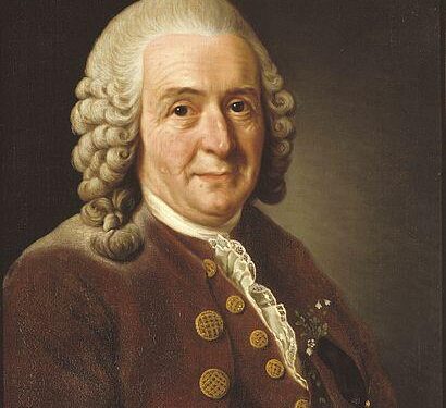 في مثل هذا اليوم23 مايو 1707م..بقلم سامح جميل..