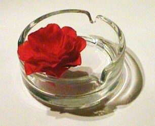 في مثل هذا اليوم31 مايو من كل عام..بقلم سامح جميل..