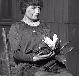 فى مثل هذا اليوم 1 يونيو 1968م.. بقلم سامح جميل..