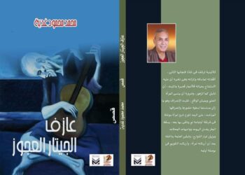 عازف الجيتار العجوز قصة قصيرة بقلم محمد محمود غدية