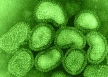 في مثل هذا اليوم11 يونيو 2009 م..بقلم سامح جميل..