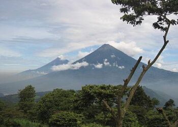 في مثل هذا اليوم4 يونيو 2018م..بقلم سامح جميل….