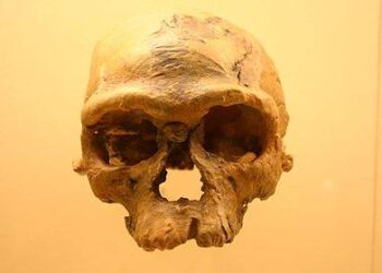 في مثل هذا اليوم7 يونيو 2017م..بقلم سامح جميل..